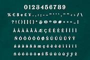 Karimun - Modern Serif Font, a Serif Font by Kulokale (Thumbnail 11 of 16)