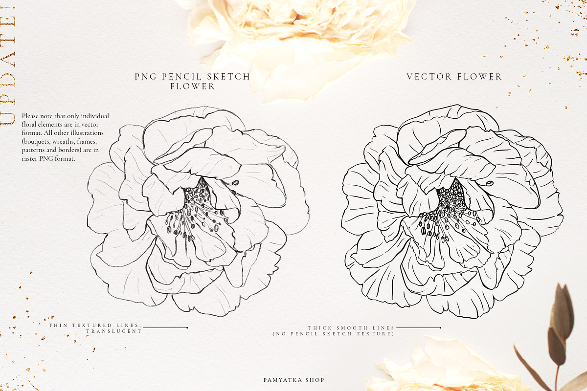 Wildflowers-Pencil sketch collection, a Decorative Illustration by Pamyatka Shop (Photo 8 of 13)