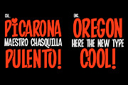 Pintanina Pro, a Font by Rodrigo Typo (Thumbnail 3 of 5)
