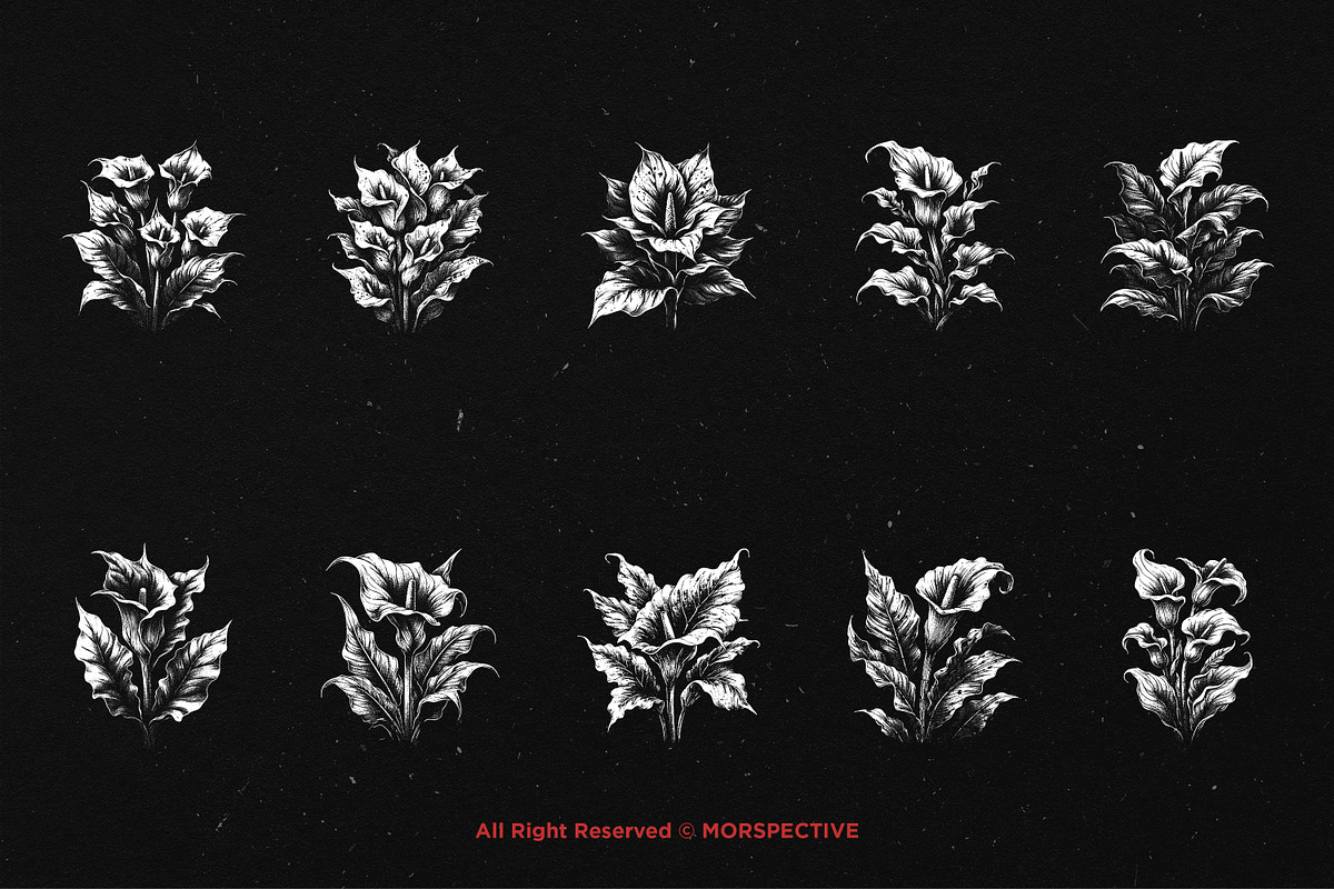 10 Bundle Dark Art Aglonema Botani, an Illustration by Morspective (Photo 6 of 7)