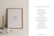 House Plant-Vector Illustration Pack, an Illustration by Lovendear Design (Thumbnail 2 of 9)
