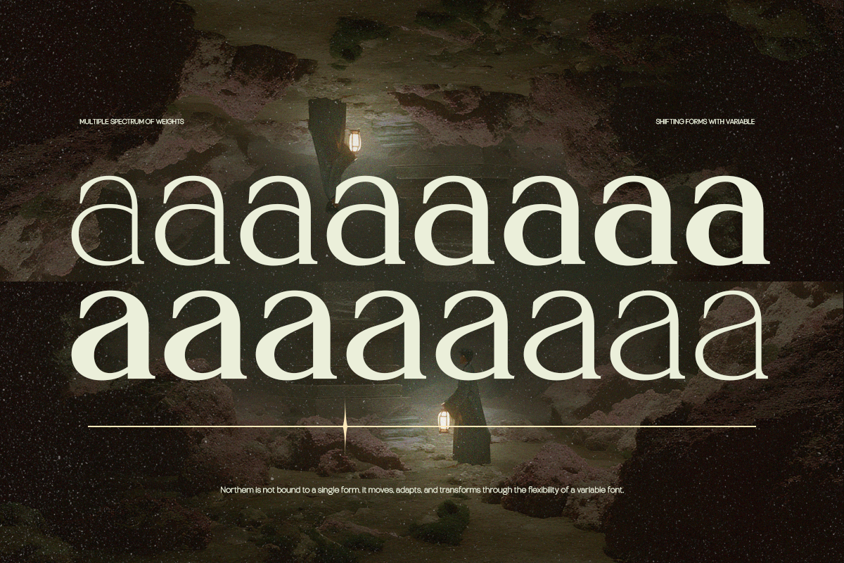 TRT Northem – Elegant Serif Font, a Serif Font by truetype (Photo 14 of 15)