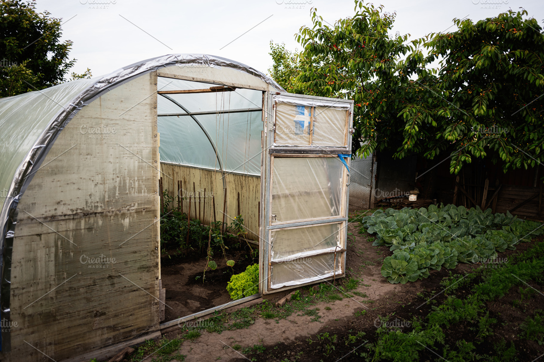 Greenhouse and vegetable garden in a sunny backyard setting, a Photo by AS photostudio