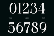 CS Bevoir – Modern Serif Font, a Serif Font by Craft Supply Co. (Thumbnail 6 of 8)