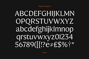 Preztik Display Typeface, a Serif Font by Glowtype (Thumbnail 14 of 15)