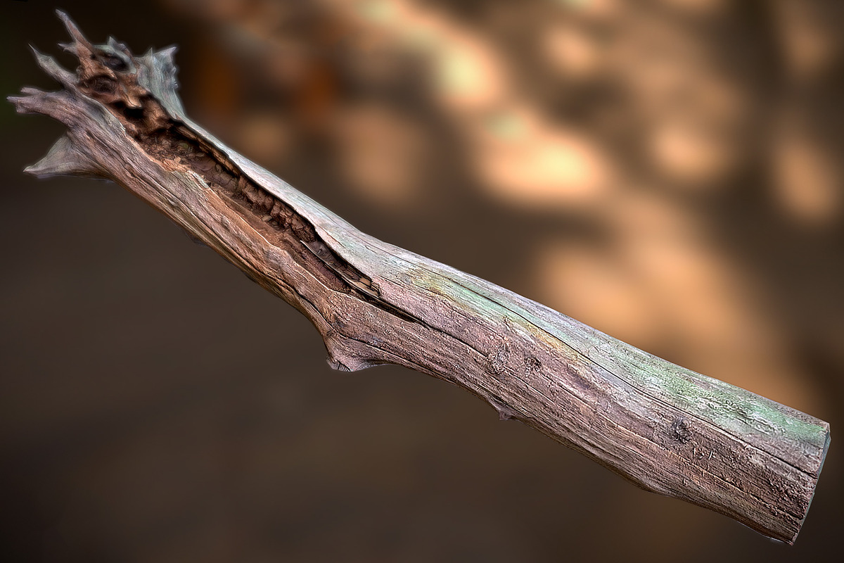 Dead Tree, an Environmental 3D Model by Beatheart Creative Studio (Photo 2 of 15)