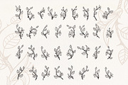 THORN Floral Gold Alphabet, a Decorative Illustration by Olga Begak Art & Design (Thumbnail 4 of 8)