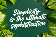 Million Orchids - Casual Handwritten, a Script Font by Four Lines Std. (Thumbnail 6 of 10)