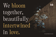 CS Dustine – Elegant Font, a Serif Font by Craft Supply Co. (Thumbnail 5 of 8)