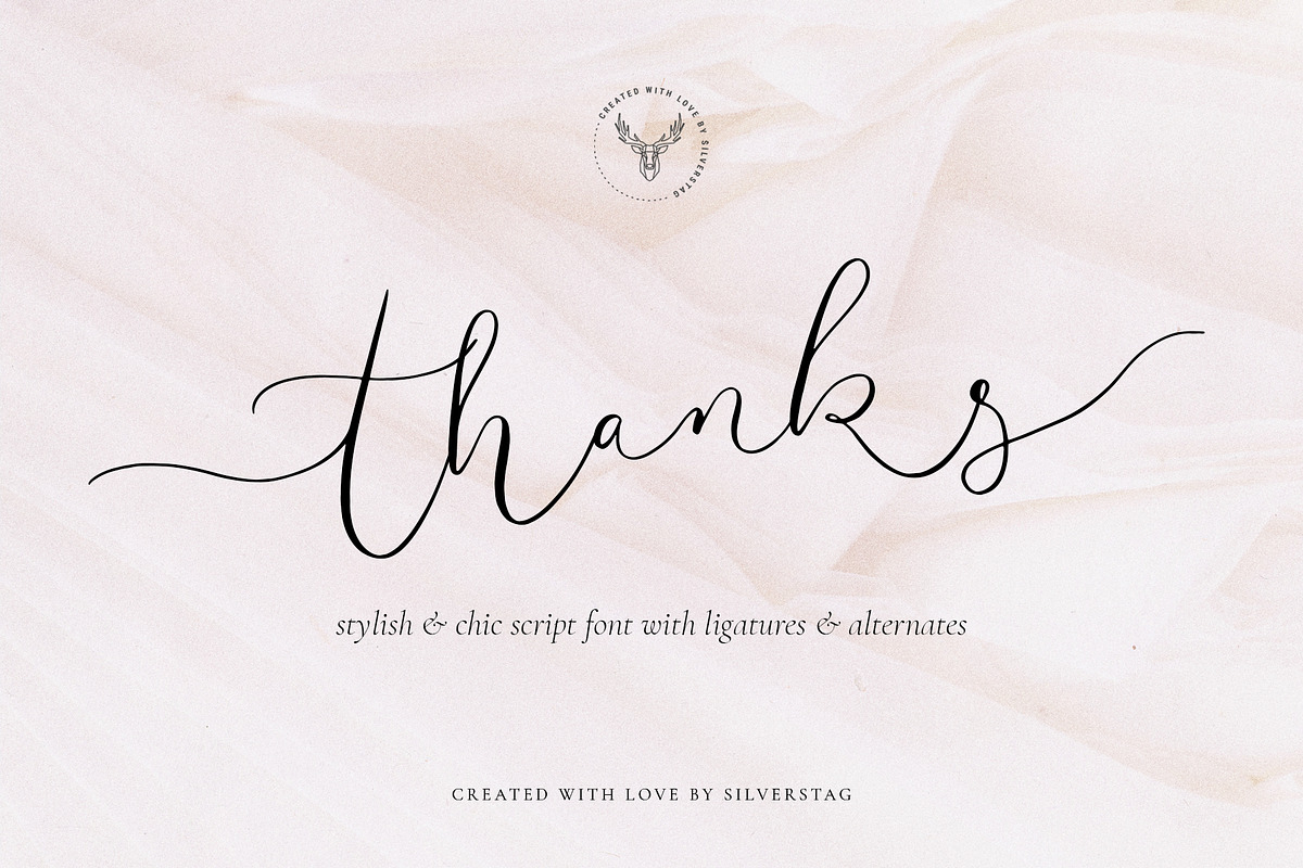 Amelie - Chic & Elegant Script Font, a Script Font by SilverStag Type Foundry (Photo 22 of 23)