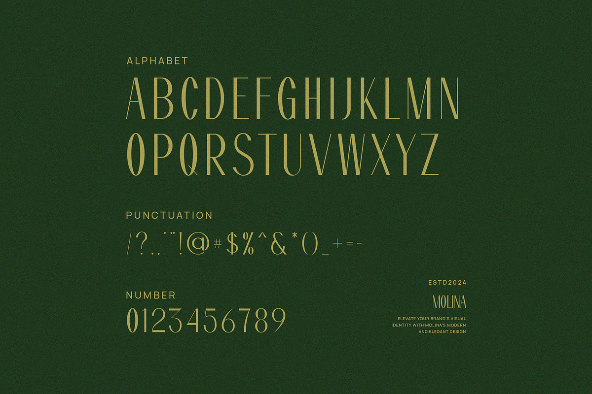Molina Modern Sans Serif Font, a Serif Font by Graphicxell (Photo 8 of 8)