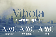 Vihola Font family, a Serif Font by vlad.berla (Thumbnail 3 of 8)