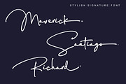 Austin - Stylish Signature Font, a Script Font by alphArtype (Thumbnail 6 of 9)