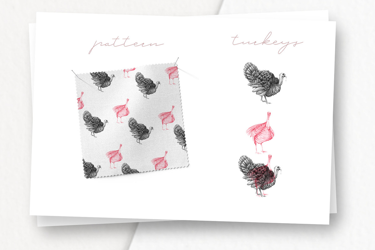 Hand drawn Turkeys Illustrations, an Animal Illustration by Greek fonts by nantia.co (Photo 3 of 6)