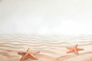 Beach Sand and Starfish Wallpaper, a Decorative Illustration by Virgo Studio