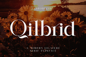 Qilbrid Modern Ligature Serif