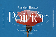 Mirage Against - Luxury Real Estate, a Serif Font by Sohel Studio (Thumbnail 2 of 12)