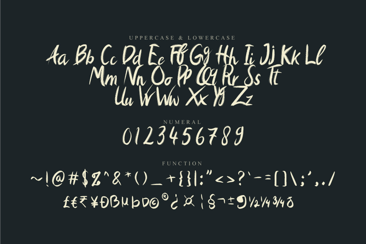 atliks, a Script Font by khalwa.studio (Photo 4 of 9)