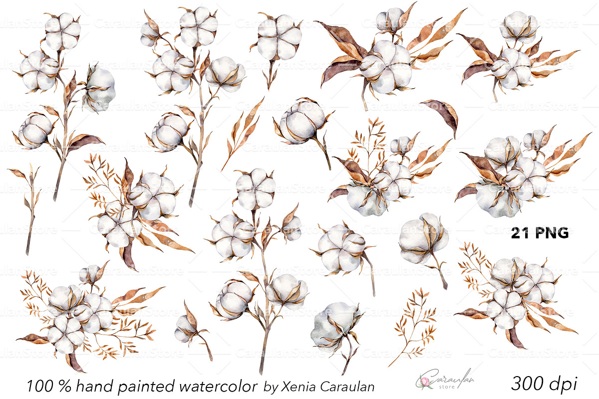 Cotton Watercolor Clipart, an Object Illustration by CaraulanStore (Photo 6 of 17)