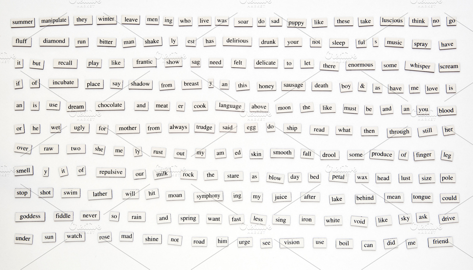 200+ Magnetic Words, a School & Education Photo by THP Creative