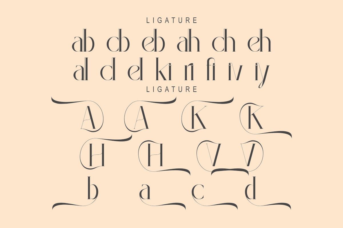 Violina, a Serif Font by Kenrichi (Photo 3 of 10)
