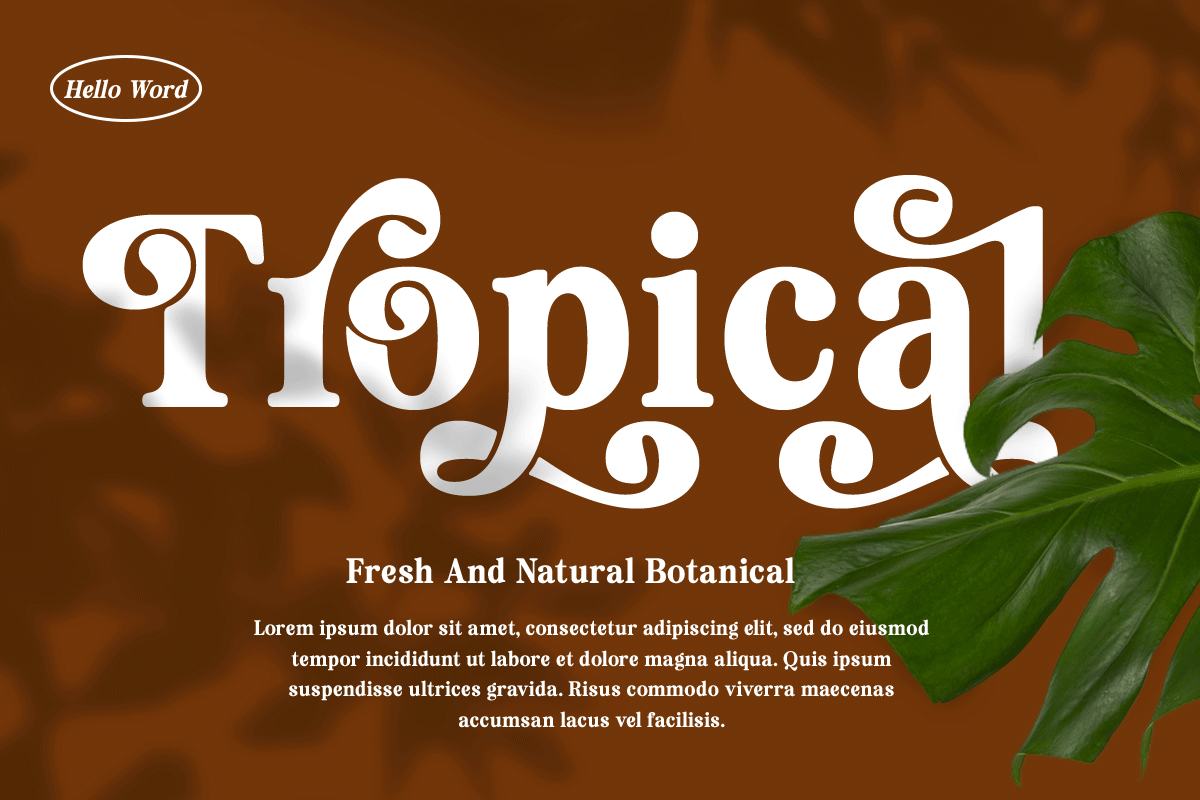 Beauty Rainira - Serif Display Font, a Serif Font by Differentialtype (Photo 9 of 12)