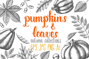 Pumpkins And Leaves Set