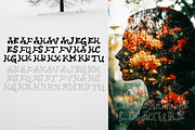 Heritance Flames Font, a Font by madeDeduk (Thumbnail 9 of 10)