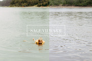 Sage, Moody Lightroom & ACR Presets, an Action Add-On by Darling Josephine (Thumbnail 25 of 27)
