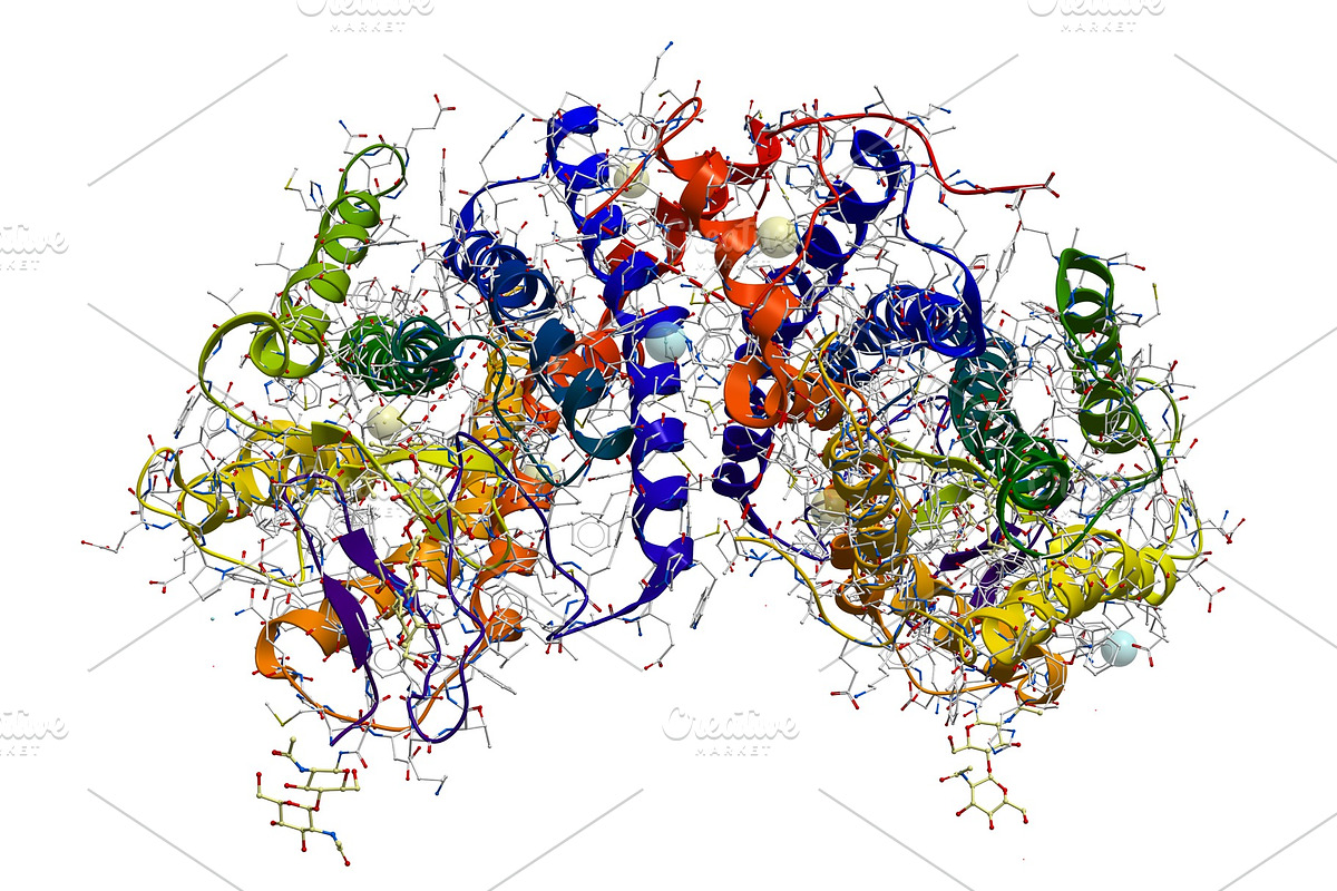 Rhodopsin (the extremely sensitive, an Illustration by Leonid Andronov