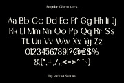 Danyelle Elegant Modern Sans Font, a Sans Serif Font by Vadovastd (Thumbnail 2 of 8)