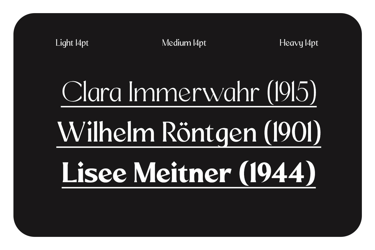 Mizhon Flare | 12 Fonts, a Serif Font by Skinny Type (Photo 3 of 8)