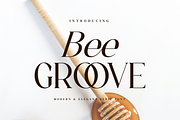 Bee Groove - Modern Serif Font, a Serif Font by Aqeel_Art (Thumbnail 1 of 8)