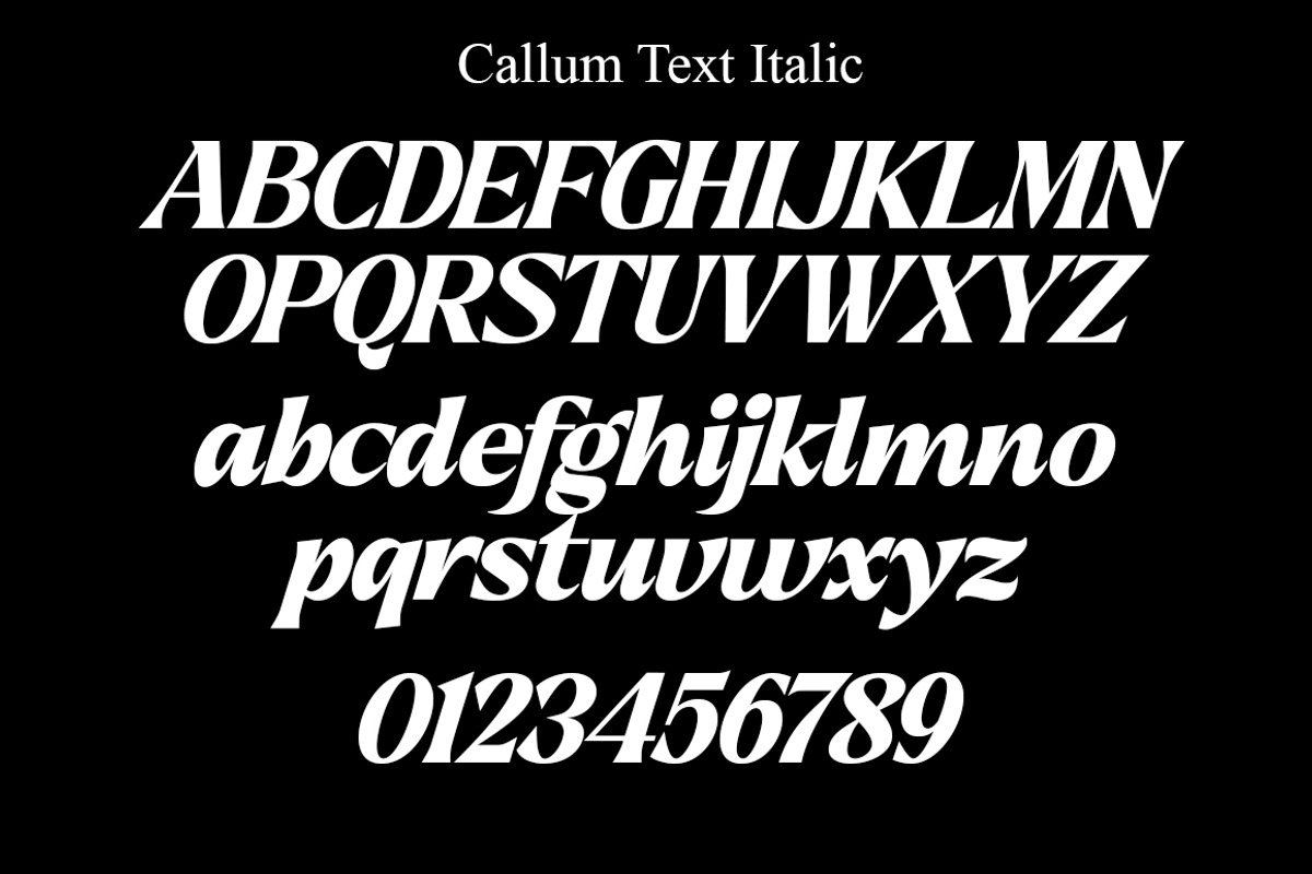 Callum Text Serif | 9 Font, a Serif Font by Positive TypeFoundry (Photo 12 of 13)