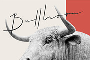 Hellios Signature Font, a Script Font by VASTARD STUDIO (Thumbnail 7 of 20)