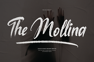 The Mollina | Solid Hand Drawn Brush, a Handwritten Font by gracetype_studio