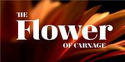 Magnel, a Serif Font by Eimantas Paskonis (Thumbnail 2 of 6)