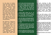 Corfella Phantom, a Serif Font by Propertype (Thumbnail 5 of 12)