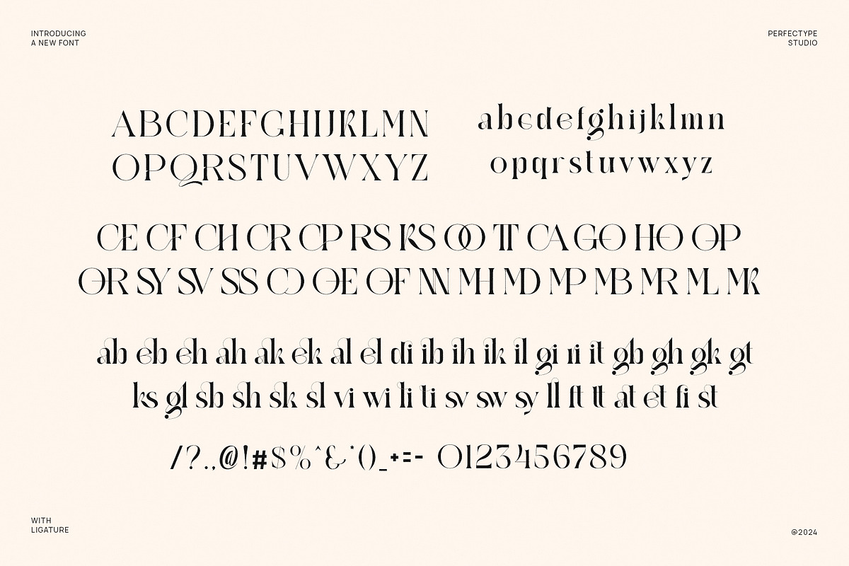 Regkan Elegant Ligature Serif Font T, a Serif Font by Perfectype (Photo 6 of 6)