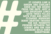 Palmica - Tropical Font, a Serif Font by Arendxstudio (Thumbnail 11 of 13)
