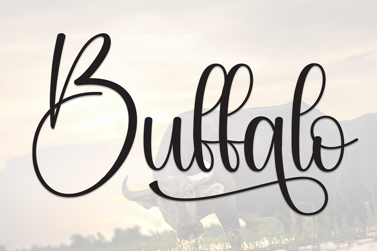 Buffalo | Script Font, a Handwritten Font by Scratchones (Photo 1 of 9)