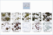 Seamless First Snow Ground Cover, a Texture Graphic by Lab Designs (Thumbnail 3 of 3)