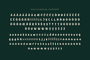 WAKCAHO | Serif Classic Modernism, a Serif Font by twinstd (Thumbnail 10 of 13)