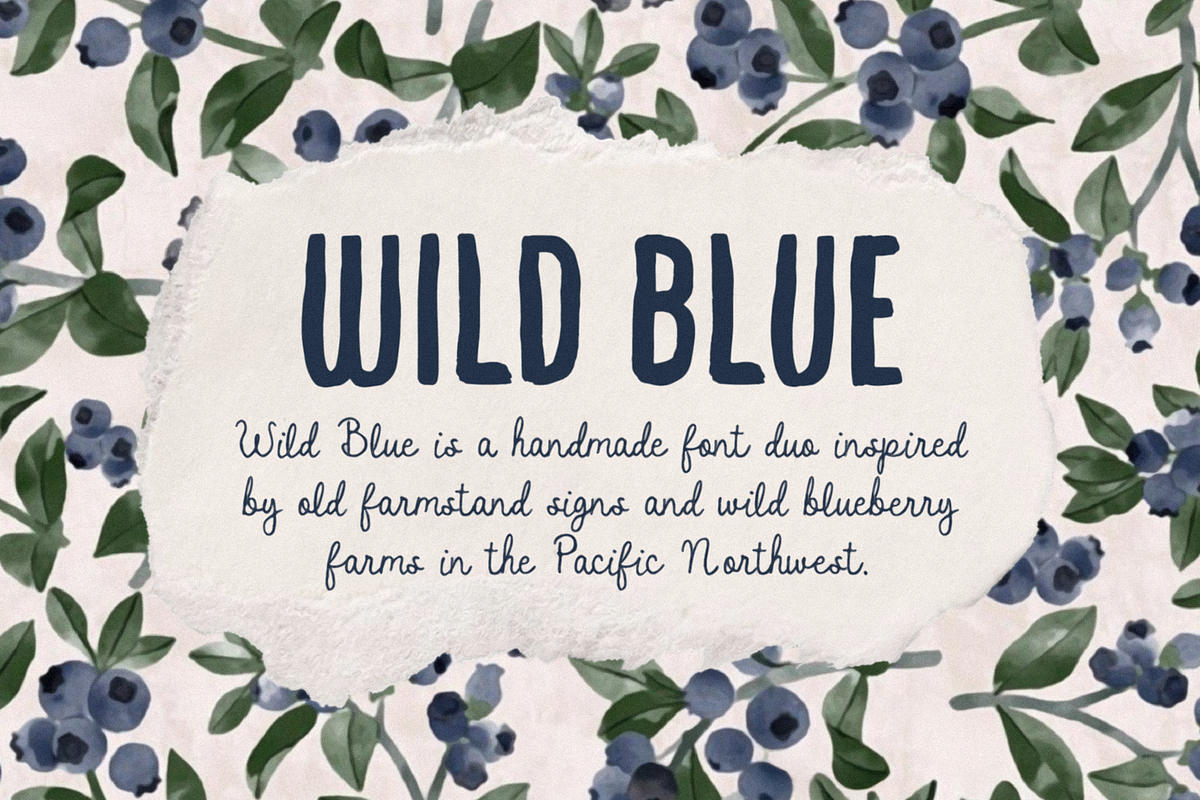 Wild Blue, a Script Font by Bruised Goods (Photo 1 of 12)