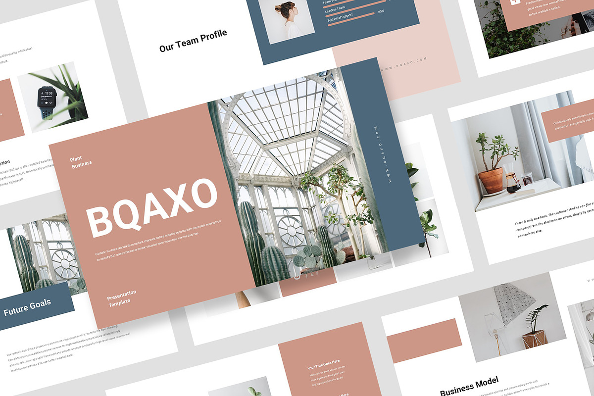 Bqaxo : Plant Business Powerpoint