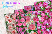 Pink Flower Background, a Background Photo by Digital Studio (Thumbnail 2 of 18)