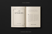 Romara | Elegant & Modern Serif Font, a Font by Wild Theory (Thumbnail 12 of 16)