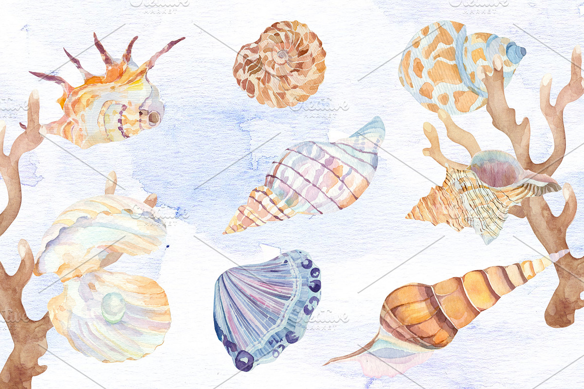 Watercolor set of underwater life, an Animal Illustration by Watercolor arts (Photo 4 of 8)
