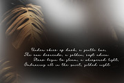 Xana Rosita Cyrillic Font, a Script Font by IraDvilyuk (Thumbnail 5 of 9)