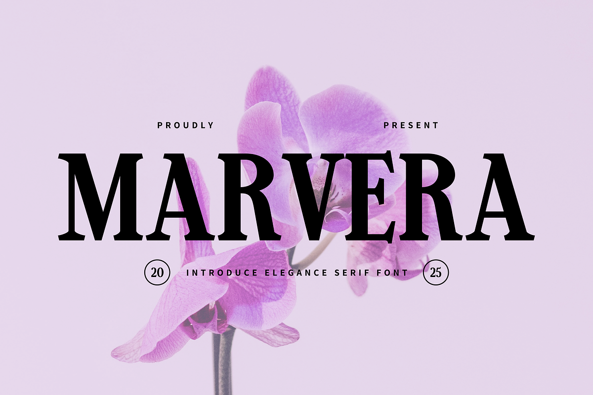 Marvera, a Serif Font by Studio Moara (Photo 1 of 8)